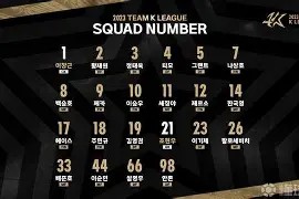 APP下载_首尔fc联赛排名