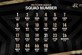 首尔fc联赛排名